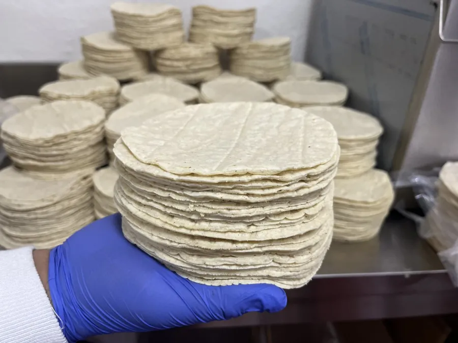 Pila de tortillas recién hechas en la fábrica